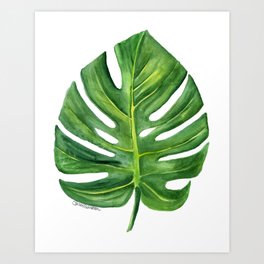Monstera Leaf Watercolor Painting Art Print