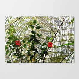 Red Hibiscus Flowers Blooming With Fern Canvas Print