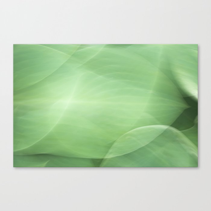 Abstract long exposure color block green art print - movement with hosta leaves - nature photography Canvas Print