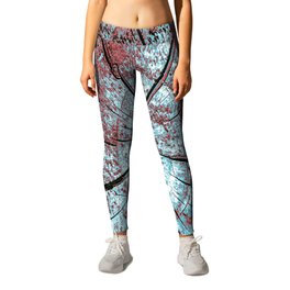 Tree trunk cross section abstract Leggings