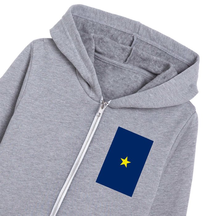 Historical flag of Texas Kids Zip Hoodie