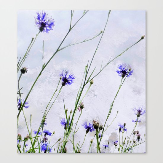 Cornflowers blue II Canvas Print