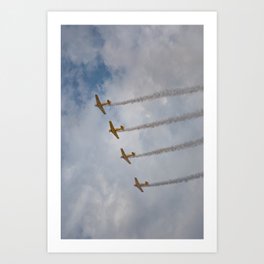 Formation Flying 4 Art Print