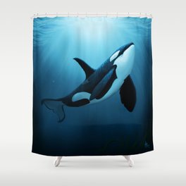 "The Dreamer" by Amber Marine ~ Orca / Killer Whale Art, (Copyright 2015) Shower Curtain