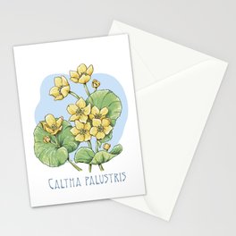 Whispers of spring: captivating yellow kingcup illustration Stationery Cards