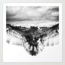 Owl Mid Flight Art Print