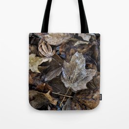 leaves on the ground Tote Bag