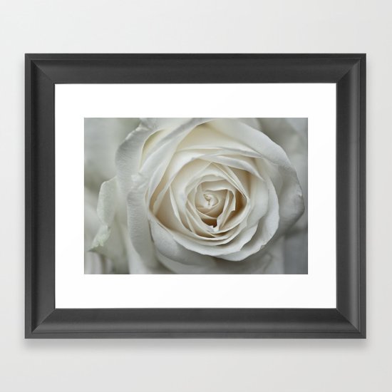White Rose 9419 Framed Art Print