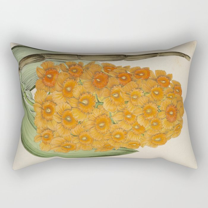 Dendrobium Densiflorum Vintage Botanical Floral Flower Plant Scientific Illustration Rectangular Pillow