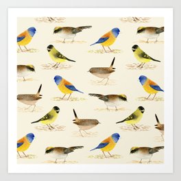 Watercolor bird catalogue Art Print