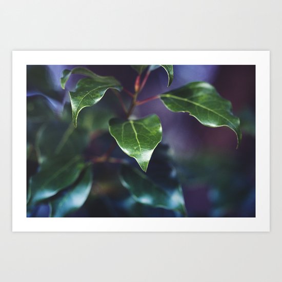 Deep Shadows Art Print