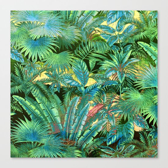 tropical forest Canvas Print