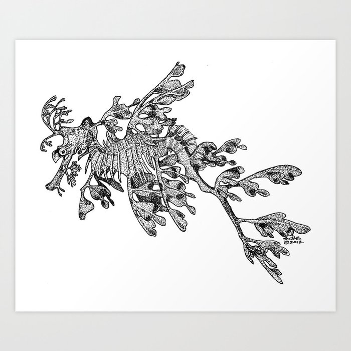 Leafy Sea Dragon Black And White Art Print By Samscalz Society6