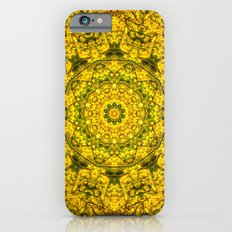 Golden Star Mandala cellphone case by photosbyhealy