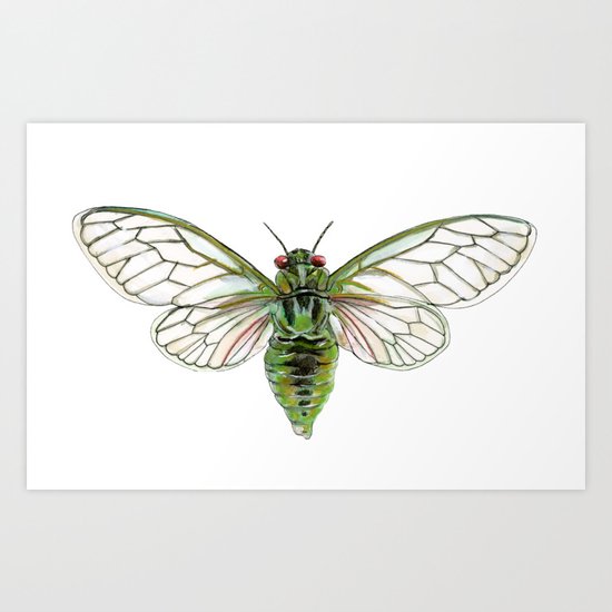 Green Cicada Art Print