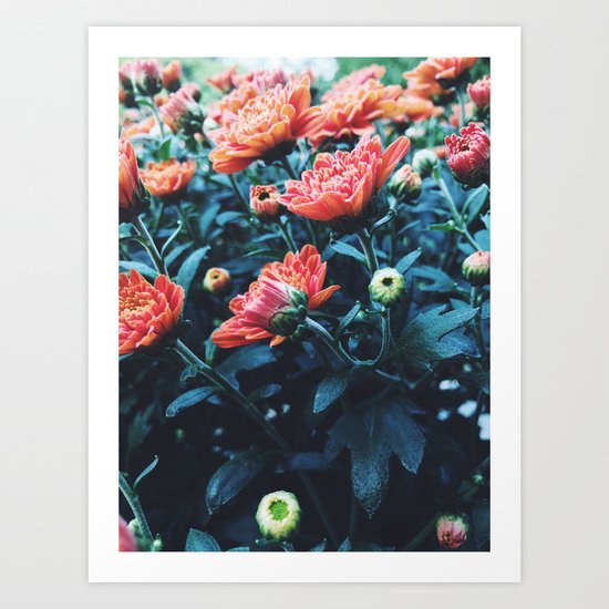 Lookin' up Art Print