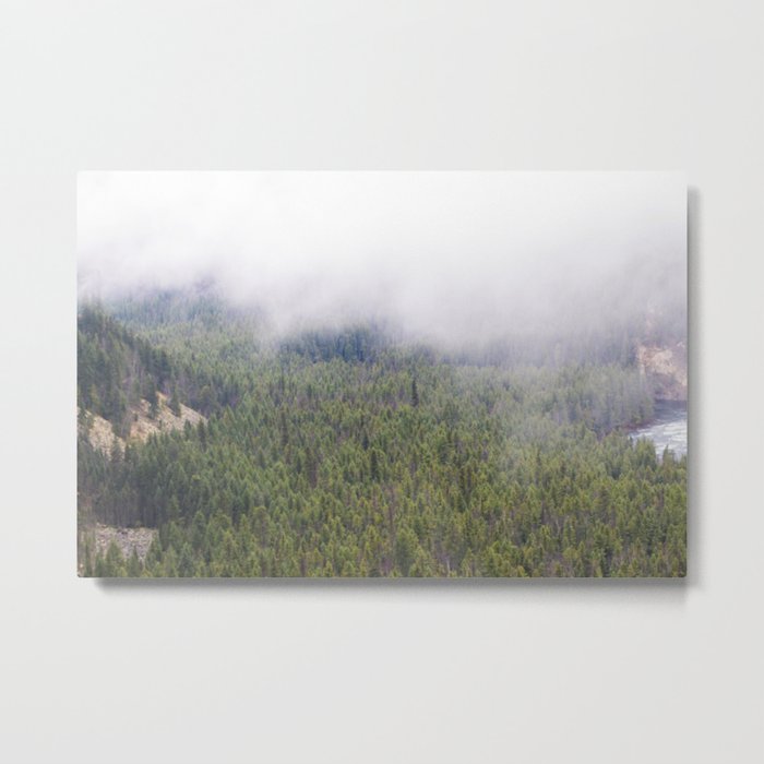 Forest From Above Metal Print
