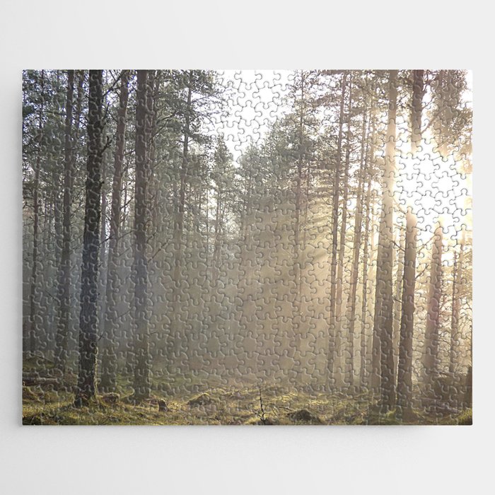 Winter Sunbeams in a Scottish Highlands Pine Forest Jigsaw Puzzle