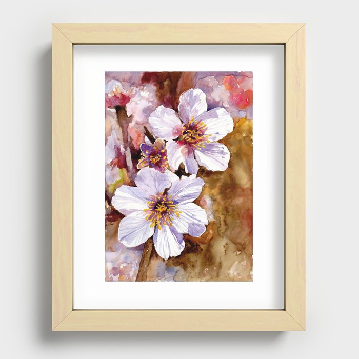 Cherry Blossom Recessed Framed Print