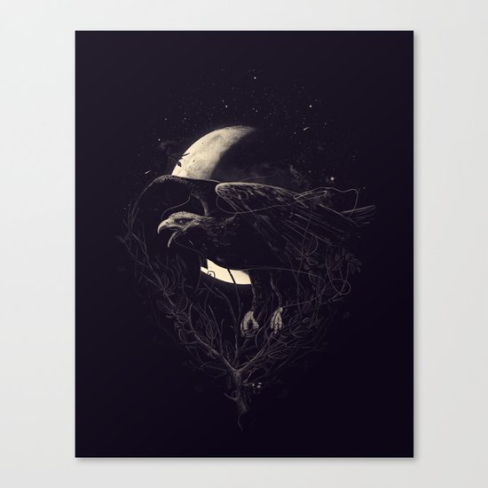 NightFlight Canvas Print
