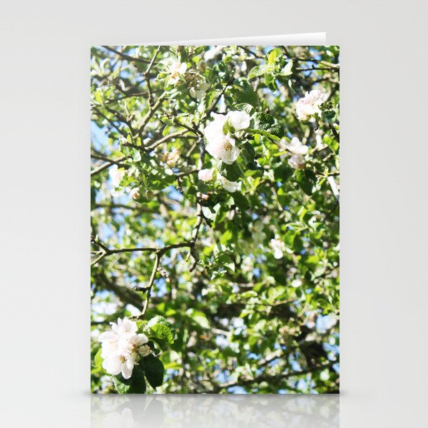 Appletree Stationery Cards