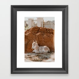 Baby Donkey Framed Art Print