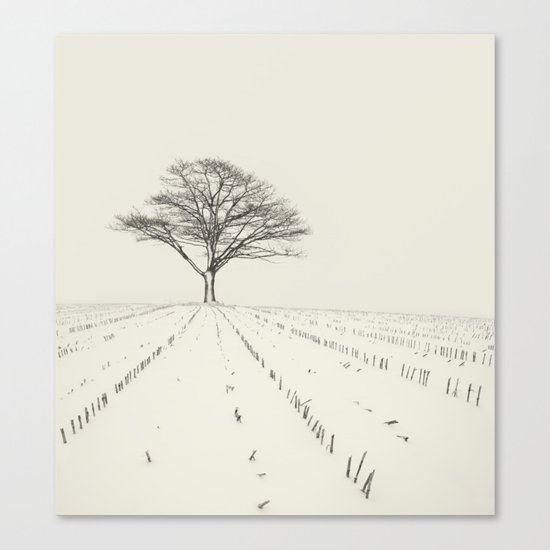 Winter Field Canvas Print