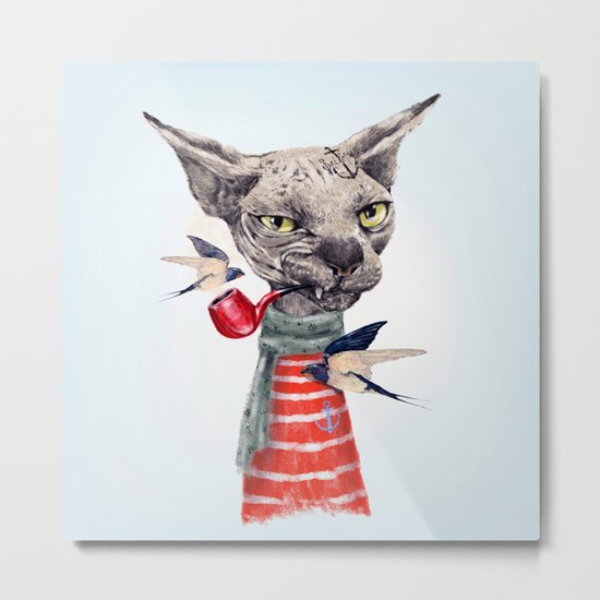 Sphynx cat Metal Print
