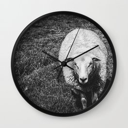 A close up portrait photo of a cute, curious sheep in a grass landscape in black and white Wall Clock