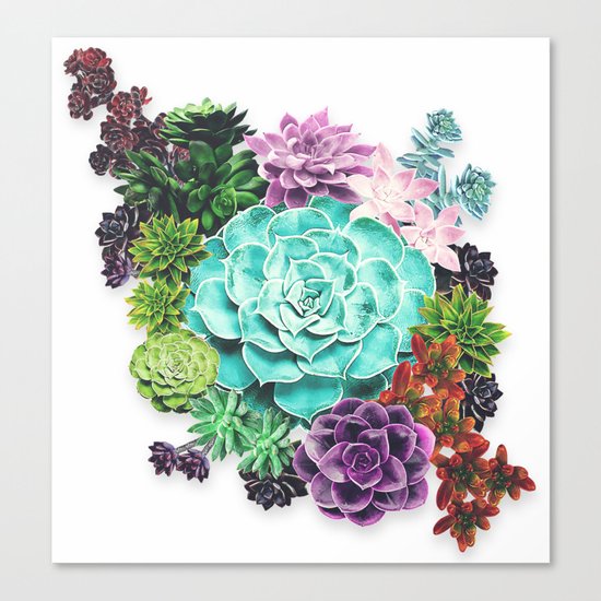 Succulent Canvas Print