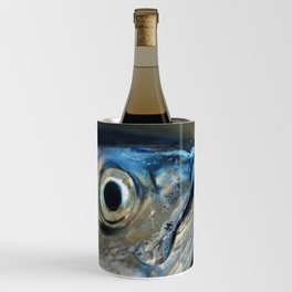Tuna Fish photography, Tuna print, sea poster, Hasselblad, animals prints, mediterranean decor  Wine Chiller