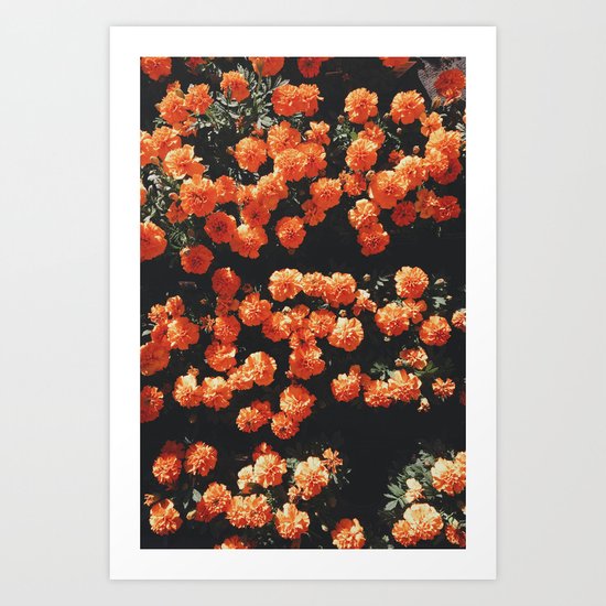 Orange flower fleurs Art Print