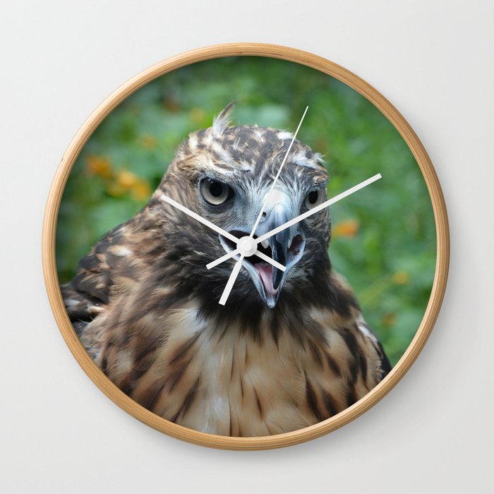 Red-Tailed Hawk Wall Clock