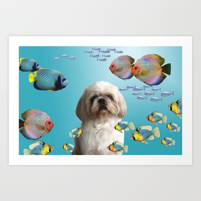 Paul Top Model Shih tzu Dog - tropical Fishes Art Print