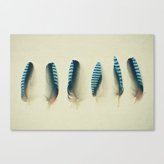 Feathers #1 Canvas Print