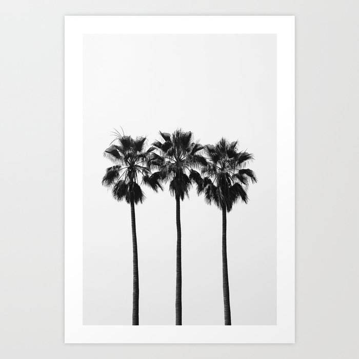 Los Angeles Palms 324 Art Print