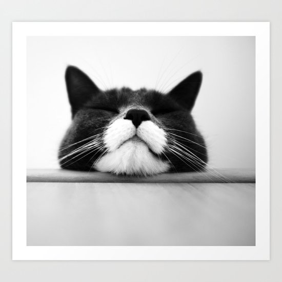 Cat Art Print