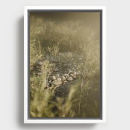 Dreamy River Plants Framed Canvas