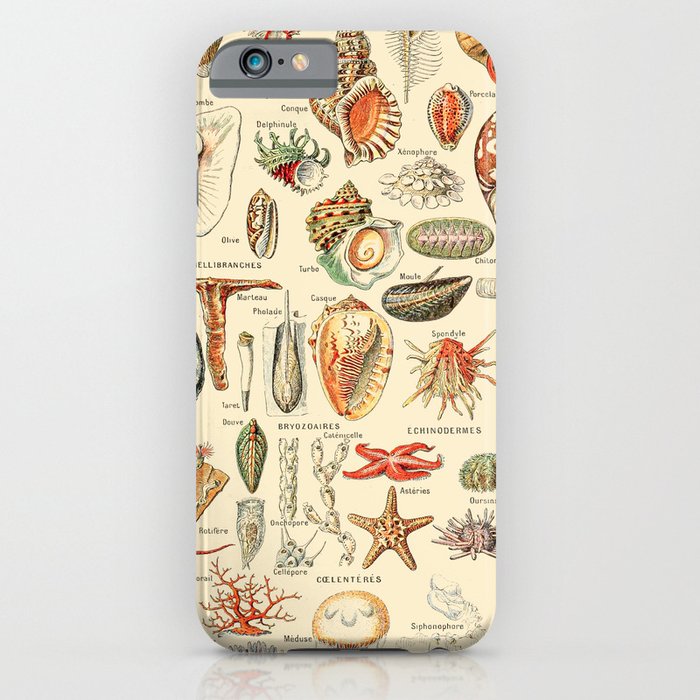 Seashell Diagram // Mollusques by Adolphe Millot XL 19th Century Science Textbook Artwork Chart iPhone Case