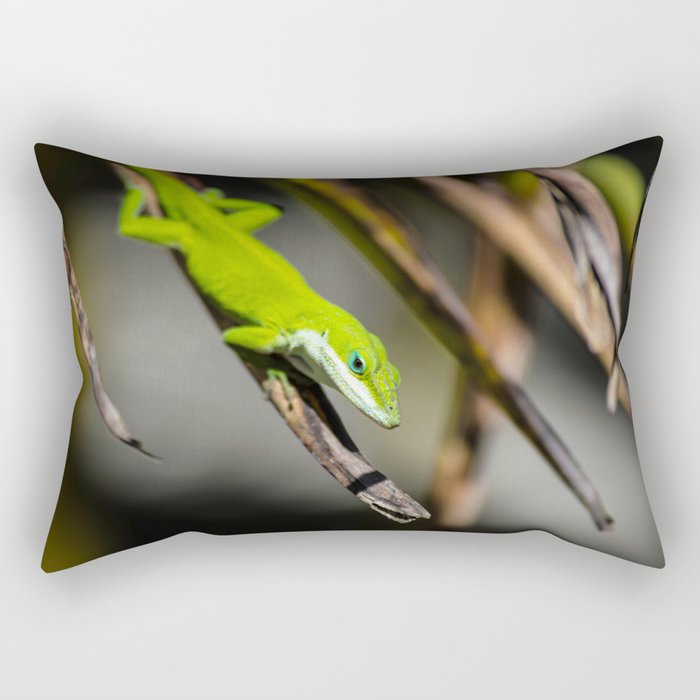 Green Carolina Anole Aloft Rectangular Pillow