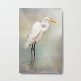 Great Egret Metal Print | Digital, Nature, Animal, Photo 