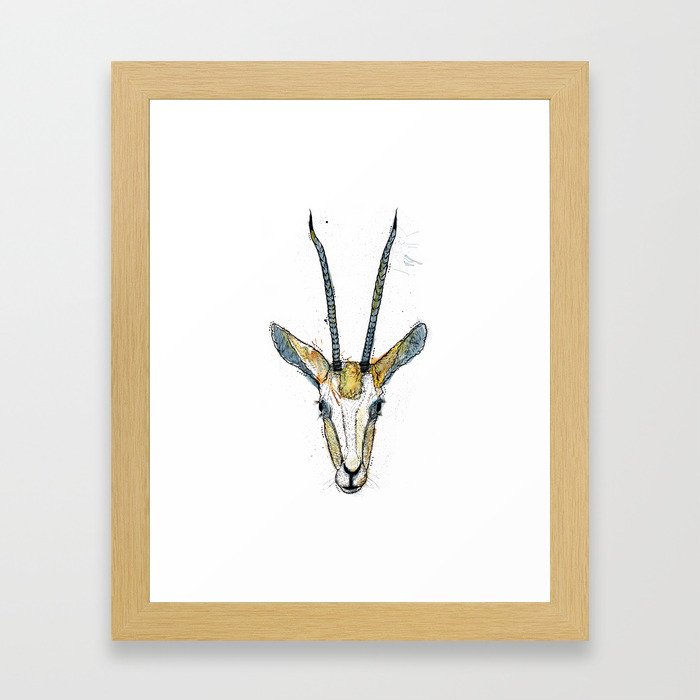 The Antelope Framed Art Print