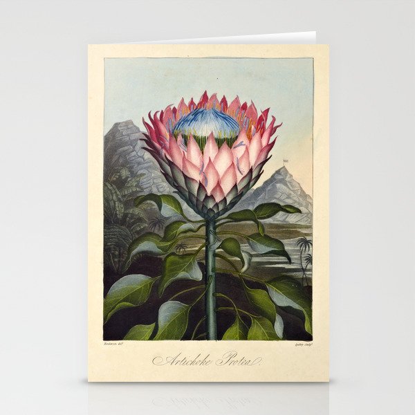 Artichoke Protea from "The Temple of Flora," 1812 (benefitting The Nature Conservancy) Stationery Cards