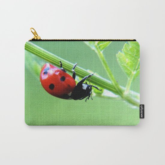 ladybug Carry-All Pouch