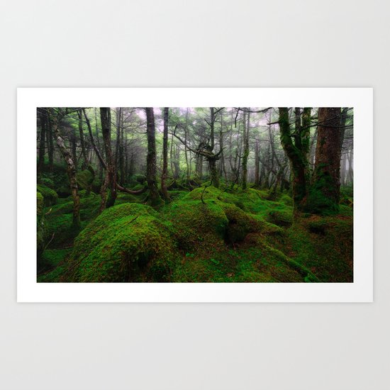 Enchanted forest mood III Art Print