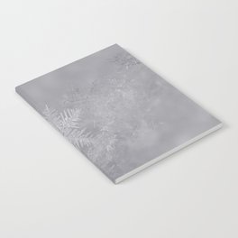 Snowflake Notebook