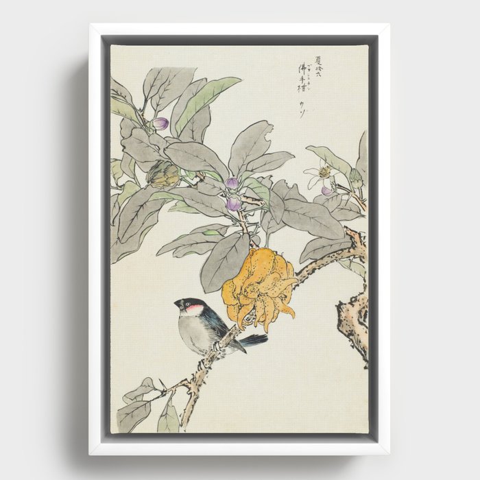 Fingered Citron and Bullfinch Japanese Bird Print, Imao Keinen, 1891 Framed Canvas