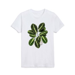 Maranta Lemon lime interior Plant Kids T Shirt