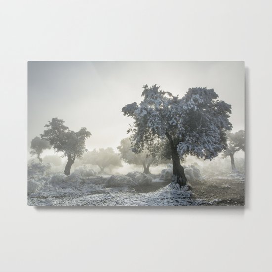Magic morning II. Sun through the fog. Metal Print