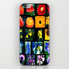 All the Flowers of the Rainbow iPhone Skin